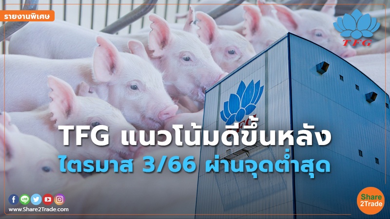 รายงานพิเศษ : TFG แนวโน้มดีขึ้นหลัง ไตรมาส3/66 ผ่านจุดต่ำสุด