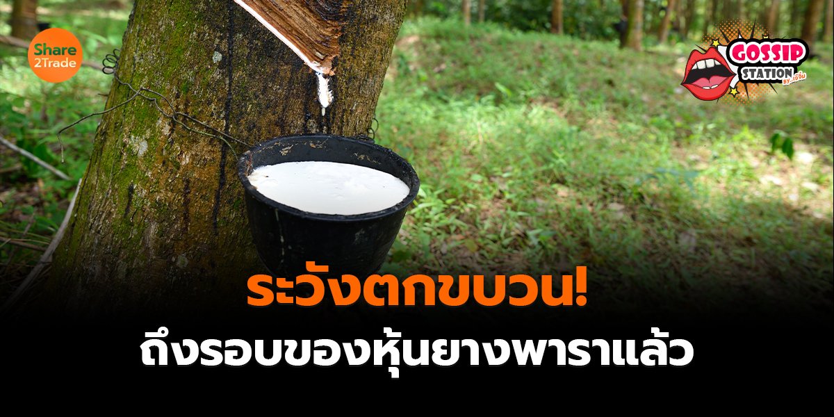 ระวังตกขบวน!_Gossip เจ๊จิ๋ม (เว็บ) copy_0.jpg