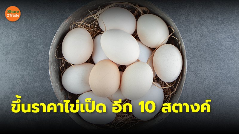 SDJ - ขึ้นราคาไข่เป็ด อีก 10 สตางค์.jpg