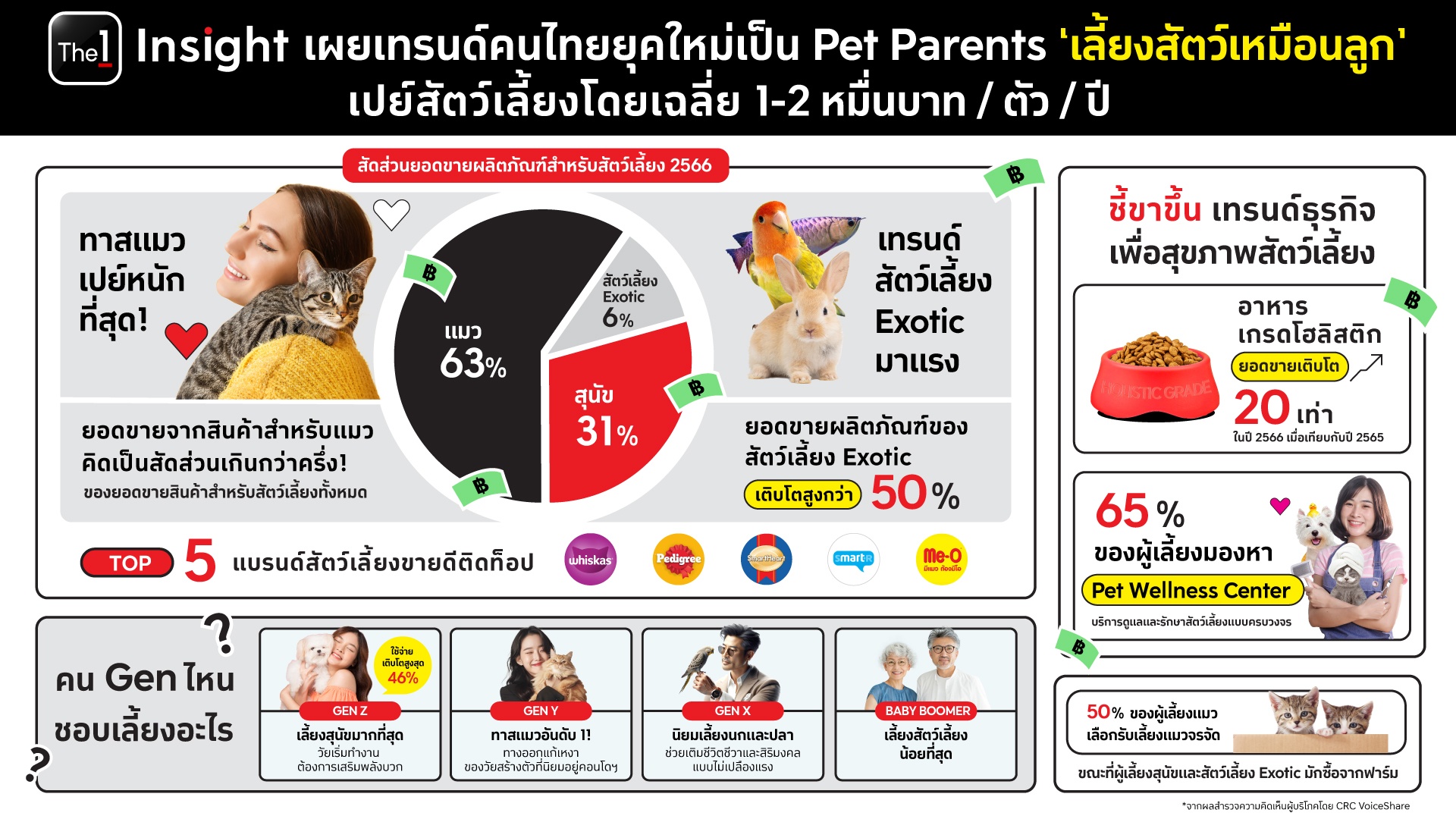 คนไทยยุคใหม่เป็น Pet Parent ‘เลี้ยงสัตว์เหมือนลูก’ เผยทาสแมวจ่ายหนักกว่า 2 เท่า