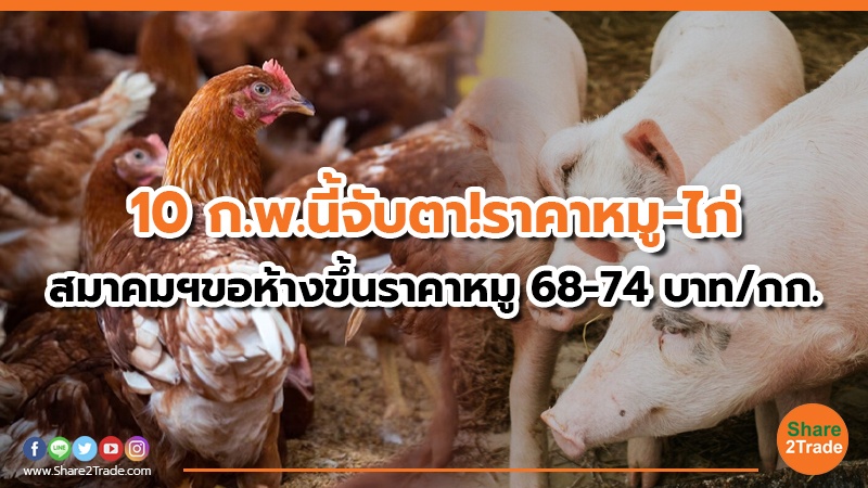 10 ก.พ. นี้จับตา! ราคาหมู-ไก่ สมาคมฯขอห้างขึ้นราคาหมู 68-74 บาท/กก.