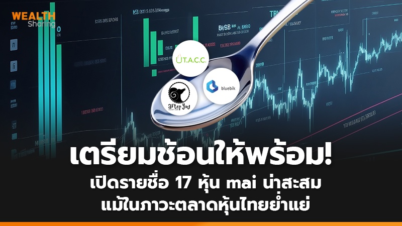 เตรียมช้อนให้พร้อม! เปิดรายชื่อ 17 หุ้น mai น่าสะสม แม้ในภาวะตลาดหุ้นไทยย่ำแย่