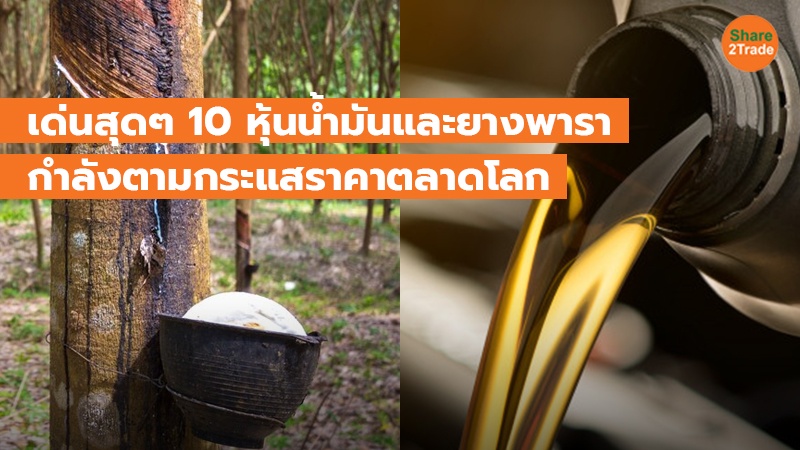 เด่นสุดๆ 10 หุ้นน้ำมันและยางพารา กำลังตามกระแสราคาตลาดโลก