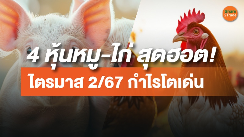 4 หุ้นหมู-ไก่ สุดฮอต! ไตรมาส 2/67 กำไรโตเด่น