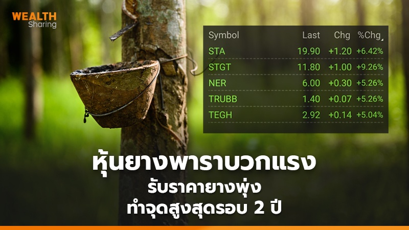 WS (เว็บ)_หุ้นยางพาราบวกแรง copy_0.jpg