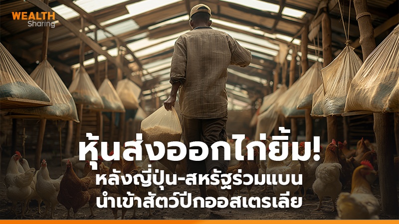 หุ้นส่งออกไก่ยิ้ม! หลังญี่ปุ่น-สหรัฐร่วมแบน นำเข้าสัตว์ปีกออสเตรเลีย