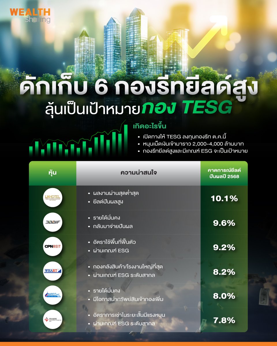 ดักเก็บ-6-กองรีทยีลด์สูง_info_0.jpg