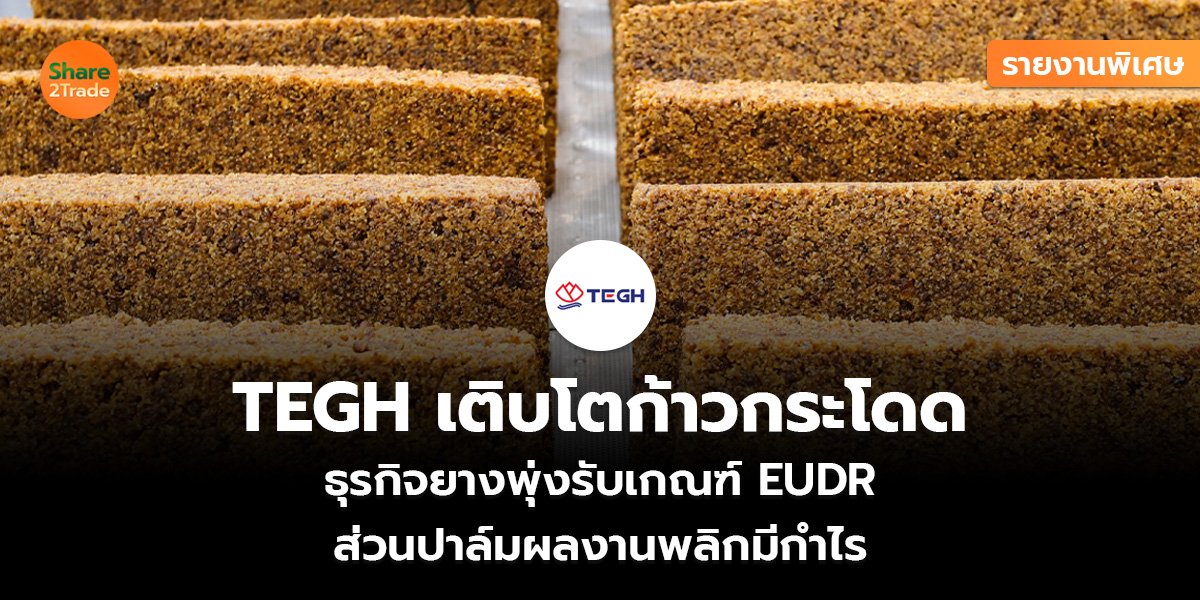 รายงานพิเศษ : TEGH เติบโตก้าวกระโดด  ธุรกิจยางพุ่งรับเกณฑ์ EUDR  ส่วนปาล์มผลงานพลิกมีกำไร
