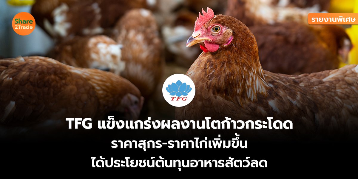 รายงานพิเศษ : TFG แข็งแกร่งผลงานโตก้าวกระโดด ราคาสุกร-ราคาไก่เพิ่มขึ้น ได้ประโยชน์ต้นทุนอาหารสัตว์ลด