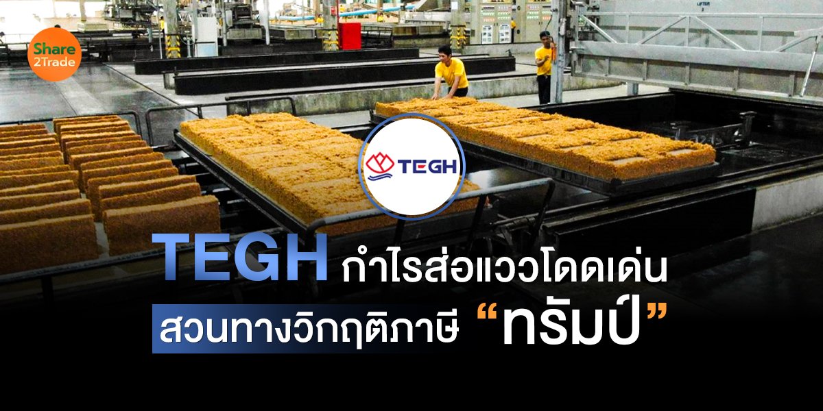 TEGH กำไรส่อแววโดดเด่น สวนทางวิกฤติภาษี “ทรัมป์”