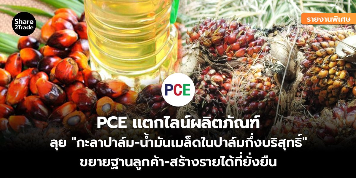 PCE_รายงานพิเศษ S2T (เว็บ) copy_0.jpg