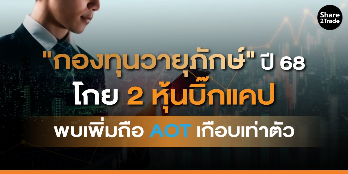 "กองทุนวายุภักษ์" ปี 68 โกย 2 หุ้นบิ๊กแคป พบเพิ่มถือ AOT เกือบเท่าตัว