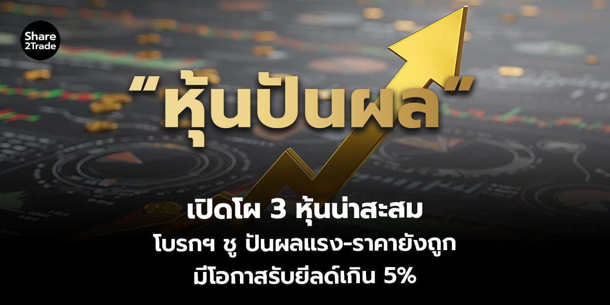 เปิดโผ 3 หุ้นน่าสะสม โบรกฯ ชู ปันผลแรง-ราคายังถูก มีโอกาสรับยีลด์เกิน 5%