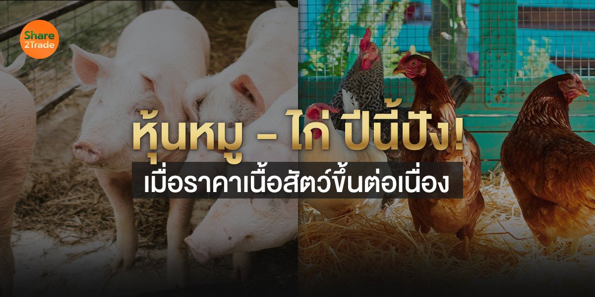 หุ้นหมู – ไก่ ปีนี้ปัง! เมื่อราคาเนื้อสัตว์ขึ้นต่อเนื่อง