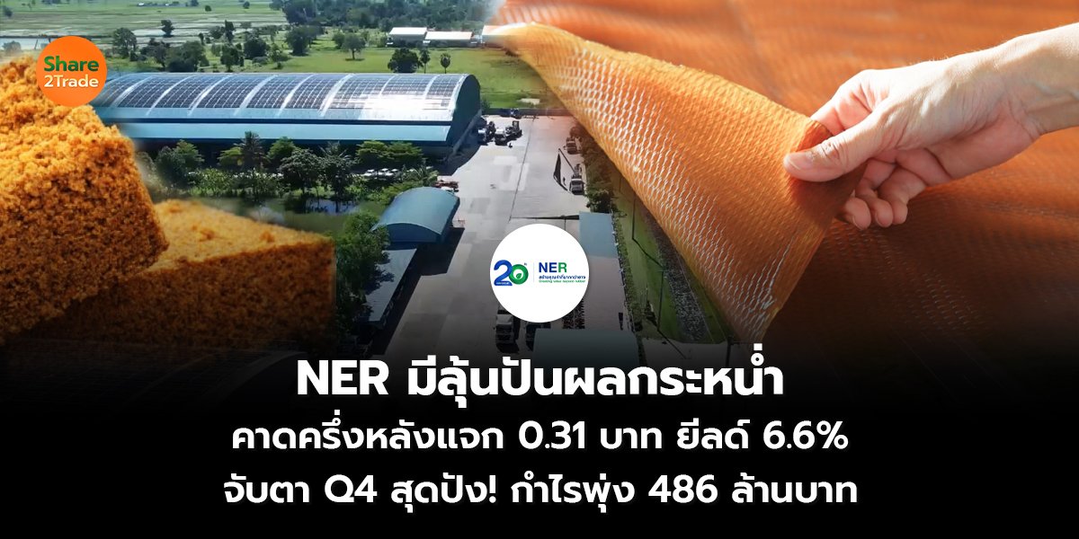 NER มีลุ้นปันผลกระหน่ำ คาดครึ่งหลังแจก 0.31 บาท ยีลด์ 6.6% จับตา Q4 สุดปัง! กำไรพุ่ง 486 ล้านบาท
