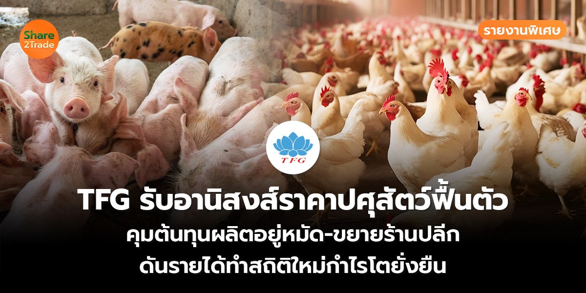 รายงานพิเศษ : TFG รับอานิสงส์ราคาปศุสัตว์ฟื้นตัว คุมต้นทุนผลิตอยู่หมัด-ขยายร้านปลีก ดันรายได้ทำสถิติใหม่กำไรโตยั่งยืน