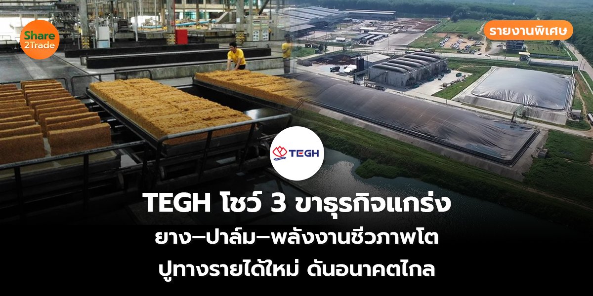 TEGH รายงานพิเศษ_S2T (เว็บ) copy_0.jpg