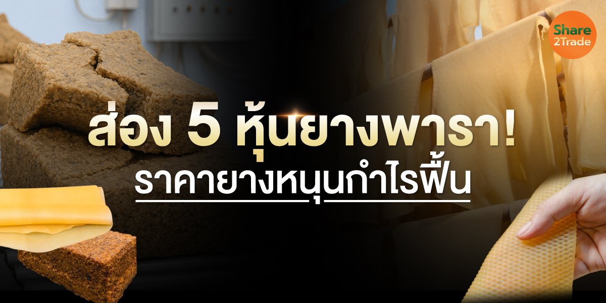 ส่อง 5 หุ้นยางพารา! ราคายางหนุนกำไรฟื้น NER–STA–STGT–TEGH เด่น จับตาครึ่งปีหลัง