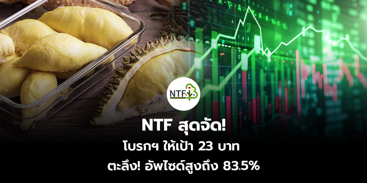 NTF สุดจัด! โบรกฯ ให้เป้า 23 บาท  ตะลึง! อัพไซด์สูงถึง 83.5%