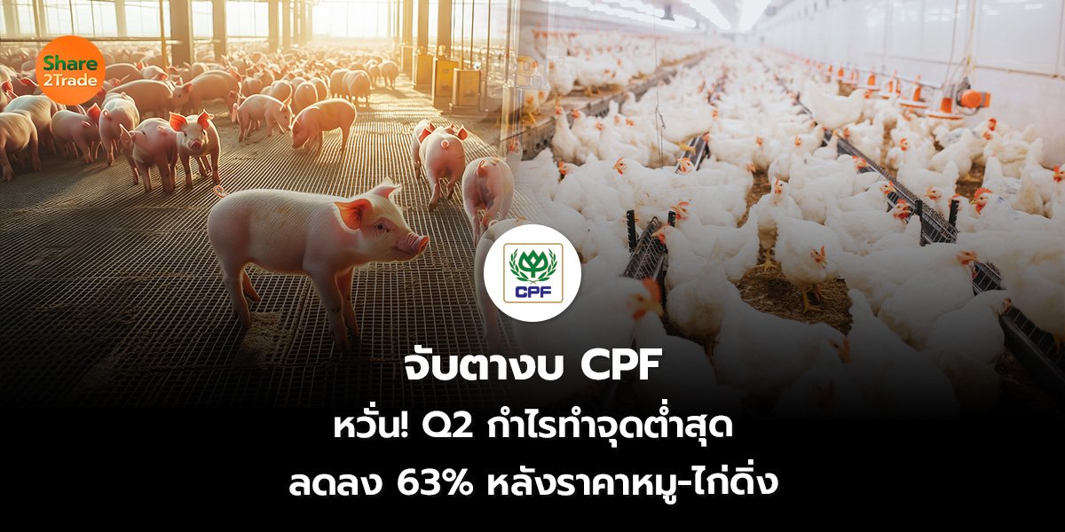 จับตางบ CPF หวั่น! Q2 กำไรทำจุดต่ำสุด ลดลง 63% หลังราคาหมู-ไก่ดิ่ง
