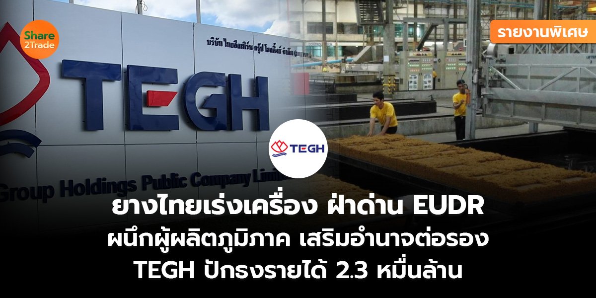 รายงานพิเศษ : ยางไทยเร่งเครื่อง ฝ่าด่าน EUDR ผนึกผู้ผลิตภูมิภาค เสริมอำนาจต่อรอง TEGH ปักธงรายได้ 2.3 หมื่นล้าน