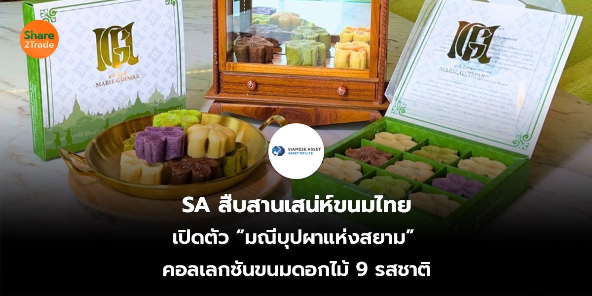 SA_S2T (เว็บ)_0.jpg
