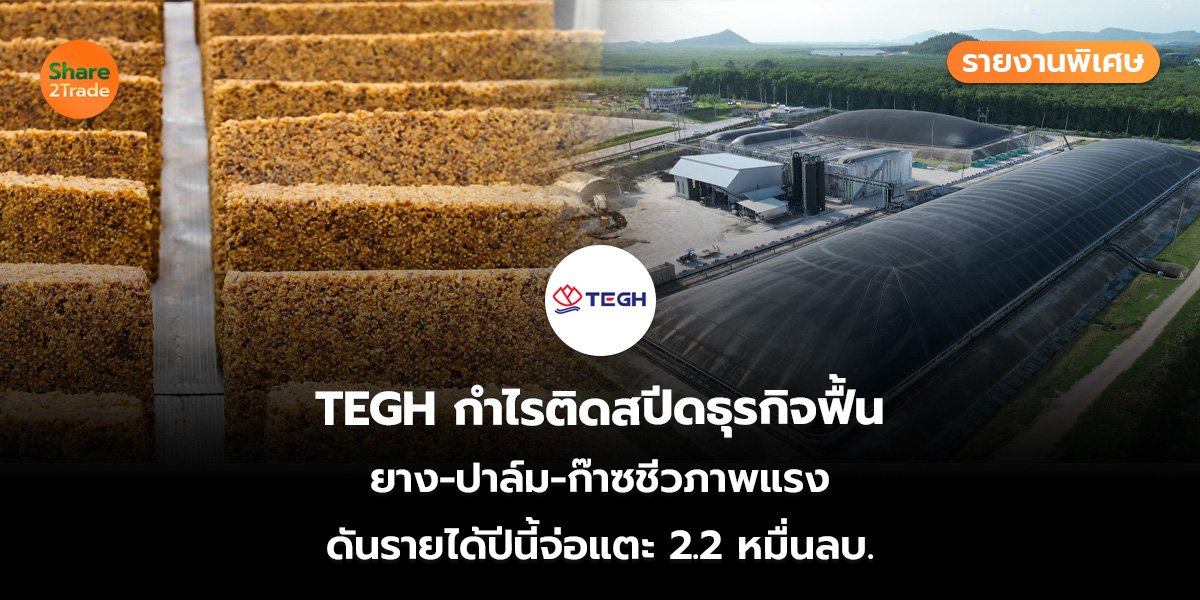 รายงานพิเศษ : TEGH กำไรติดสปีดธุรกิจฟื้น ยาง-ปาล์ม-ก๊าซชีวภาพแรง ดันรายได้ปีนี้จ่อแตะ 2.2 หมื่นลบ.