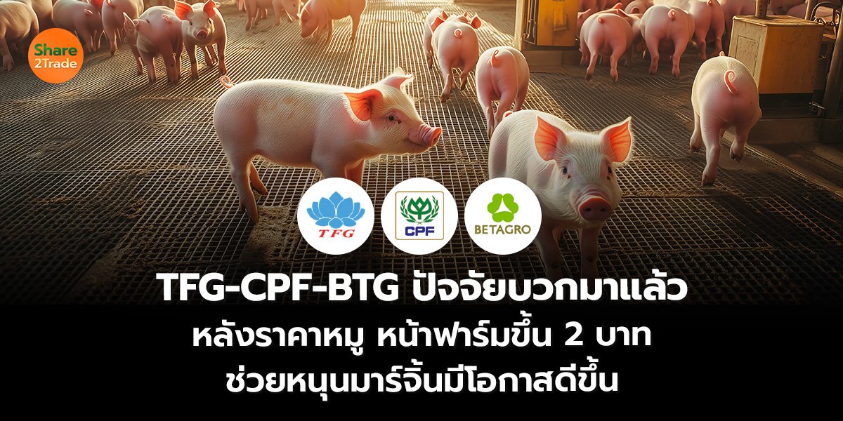 TFG-CPF-BTG ปัจจัยบวกมาแล้ว หลังราคาหมูหน้าฟาร์มขึ้น 2 บาท ช่วยหนุนมาร์จิ้นมีโอกาสดีขึ้น