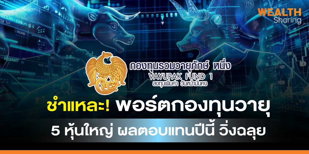 ชำแหละ! พอร์ตกองทุนวายุ 5 หุ้นใหญ่ ผลตอบแทนปีนี้ วิ่งฉลุย