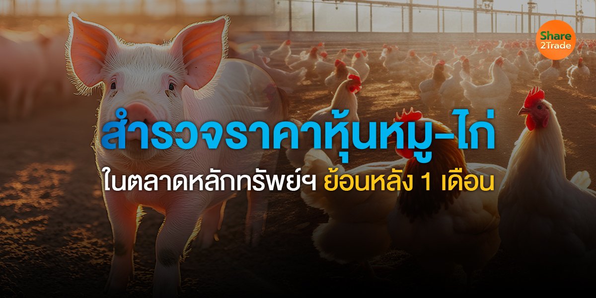 สำรวจราคาหุ้นหมู-ไก่_S2T (เว็บ) copy.jpg