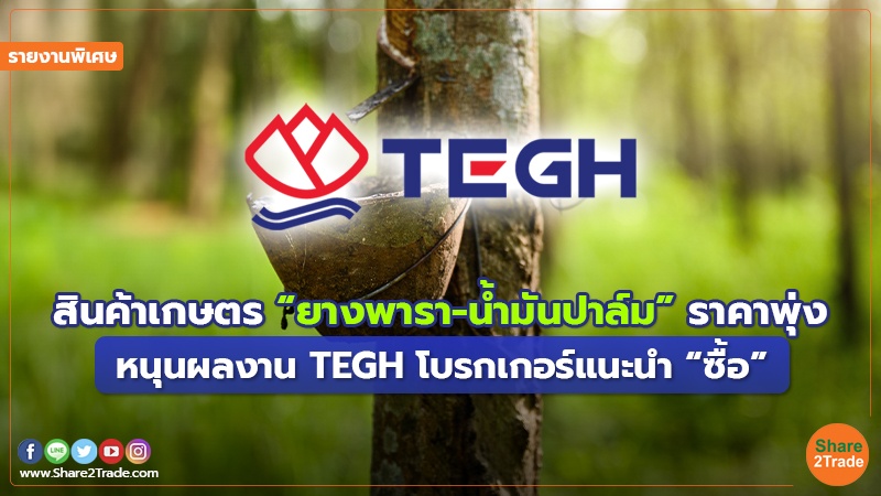 รายงานพิเศษ : สินค้าเกษตร “ยางพารา-น้ำมันปาล์ม”ราคาพุ่ง หนุนผลงาน TEGH โบรกเกอร์แนะนำ “ซื้อ”