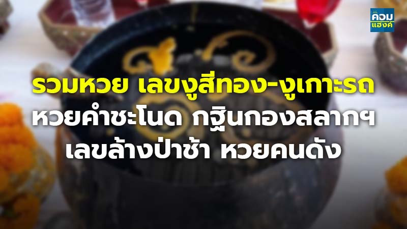 รวมหวย เลขงูสีทอง-งูเกาะรถ หวยคำชะโนด กฐินกองสลากฯ เลขล้างป่าช้า หวยคนดัง