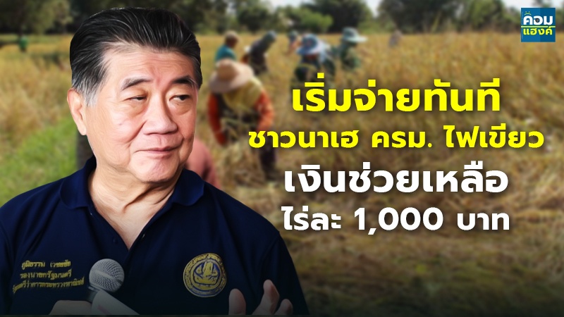 เริ่มจ่ายทันที ชาวนาเฮ ครม. ไฟเขียว เงินช่วยเหลือไร่ละ 1,000 บาท