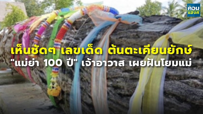 เห็นชัดๆ เลขเด็ด ต้นตะเคียนยักษ์ "แม่ย่า100ปี" เจ้าอาวาส เผยฝันโยมแม่