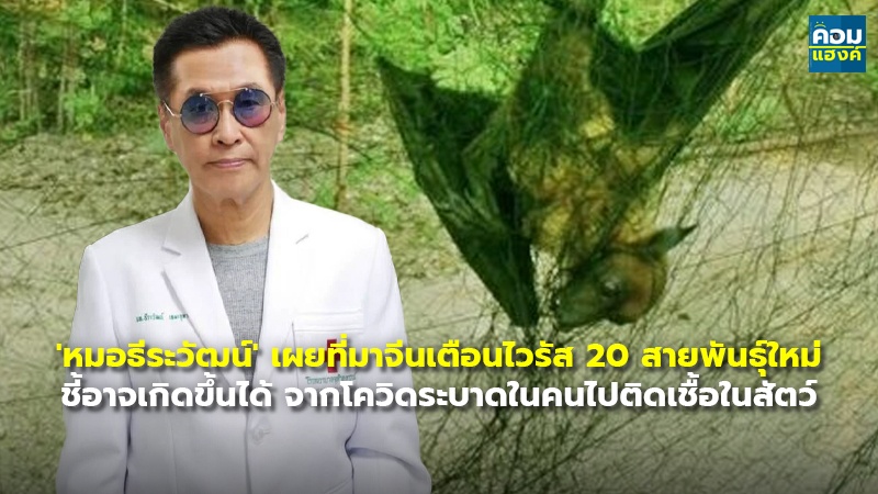 'หมอธีระวัฒน์' เผยที่มาจีนเตือนไวรัส.jpg