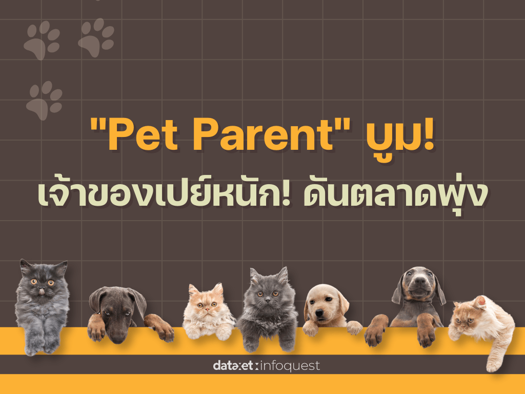 "Pet Parent" บูม!  เจ้าของเปย์หนัก! ดันตลาดสัตว์เลี้ยงพุ่ง