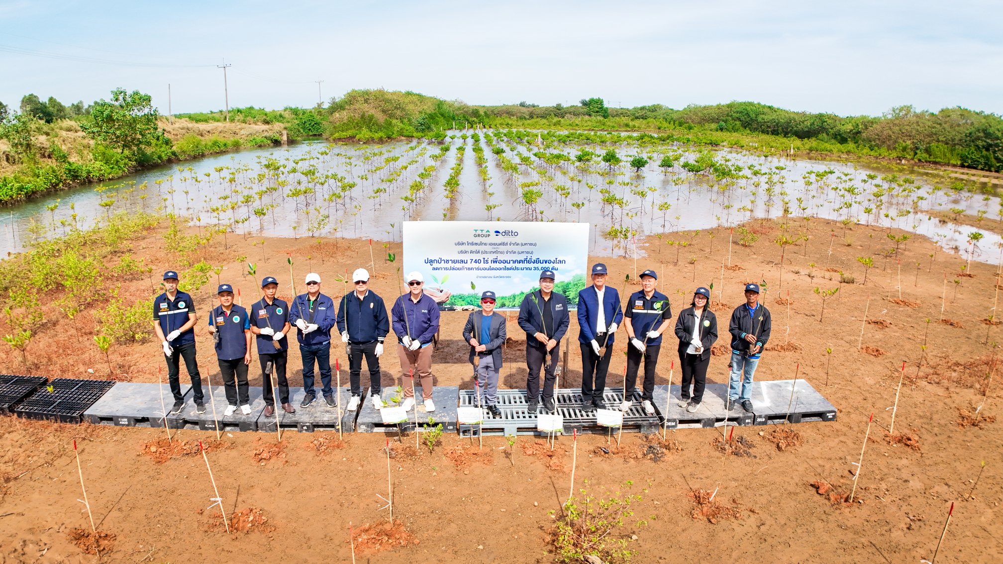 TTA ผนึกพลังพันธมิตร ฟื้นฟูป่าชายเลนกว่า 740 ไร่
