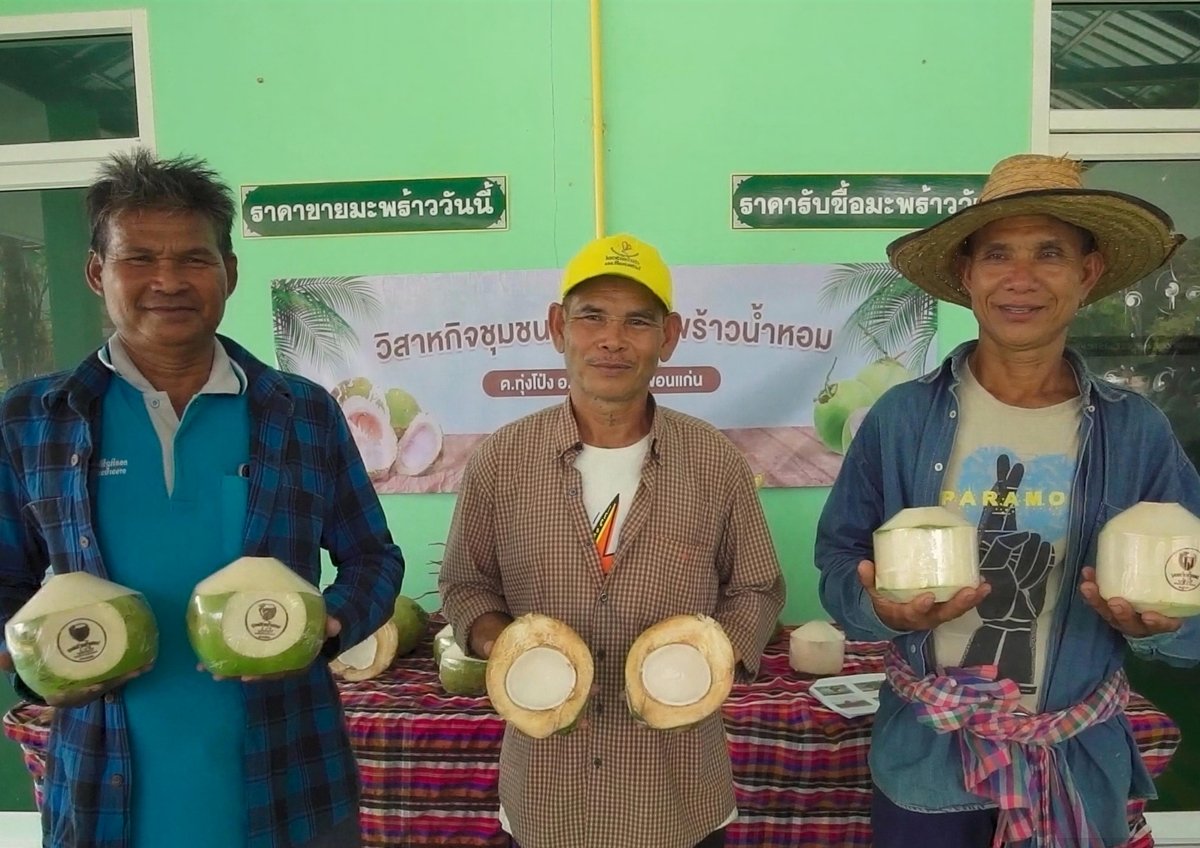 ซีพี แอ็กซ์ตร้า หนุนสินค้าเกษตรไทยสู่ความยั่งยืน ครั้งแรกกับ “มะพร้าวน้ำหอมอินทรีย์” คว้าฉลาก CFP