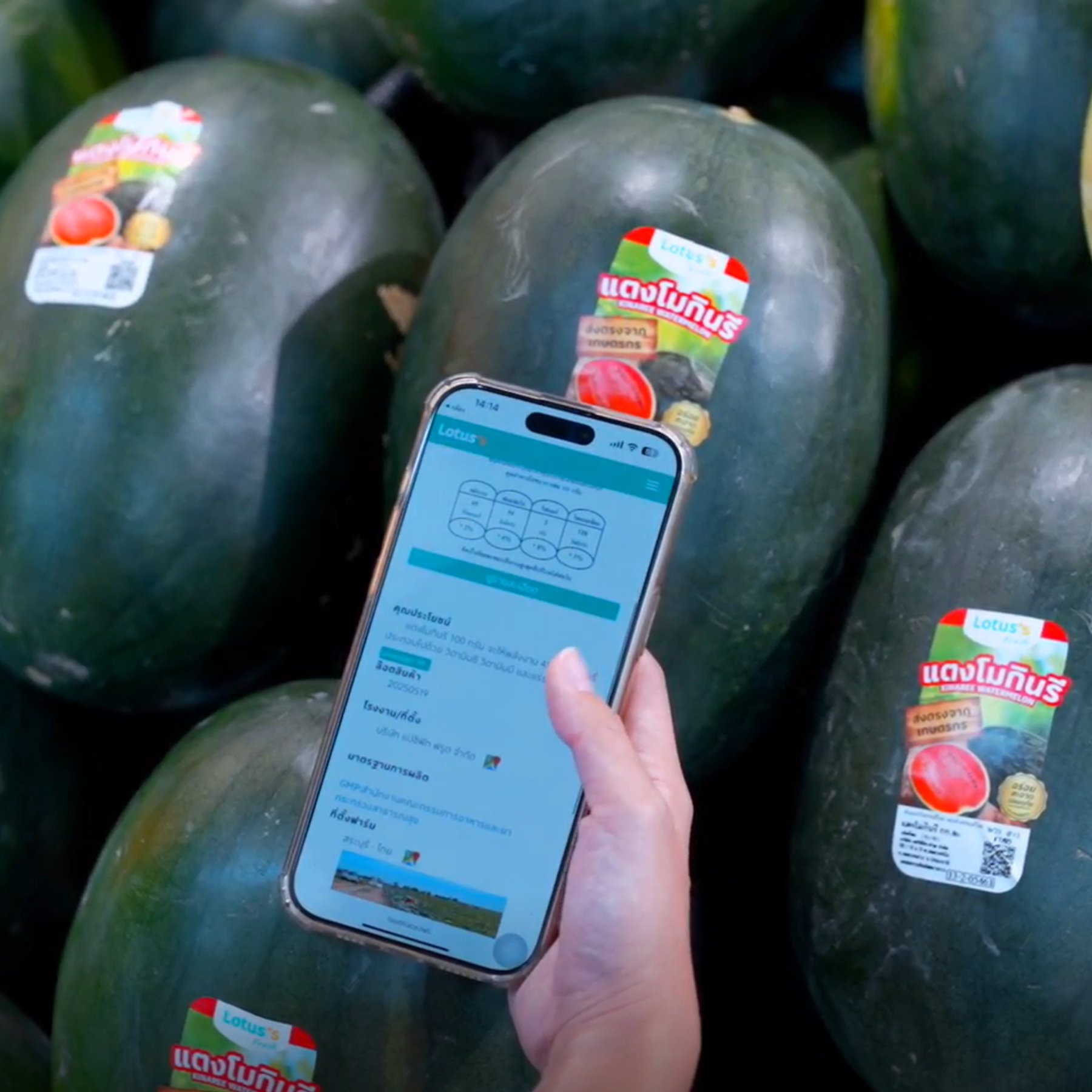 ซีพี แอ็กซ์ตร้า สนับสนุนเกษตรกรไทย เสริมความมั่นใจผู้บริโภคด้วยระบบ i-Trace