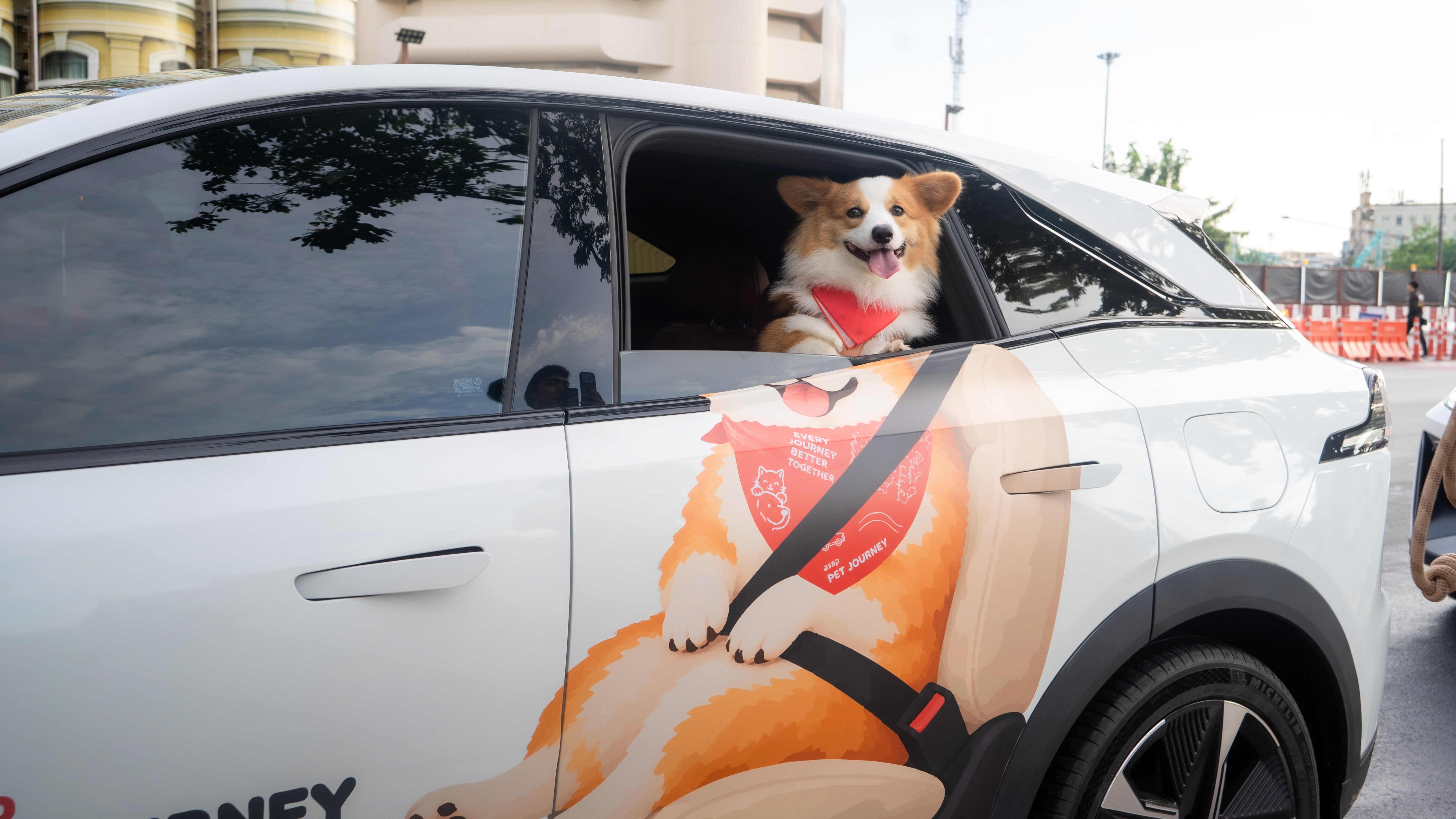 ASAP เปิดตัว “asap Pet Journey” บริการรถเช่า EV สำหรับคนรักสัตว์
