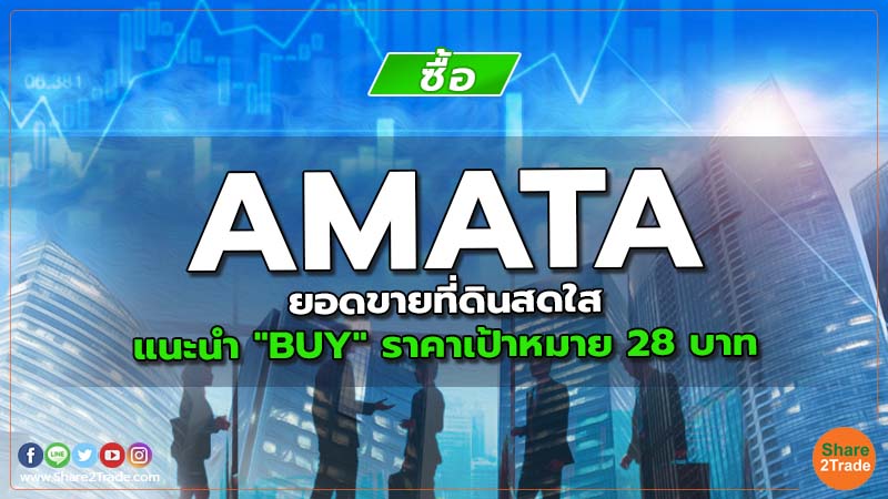 Resecrh AMATA ยอดขายที่ดินสดใส.jpg